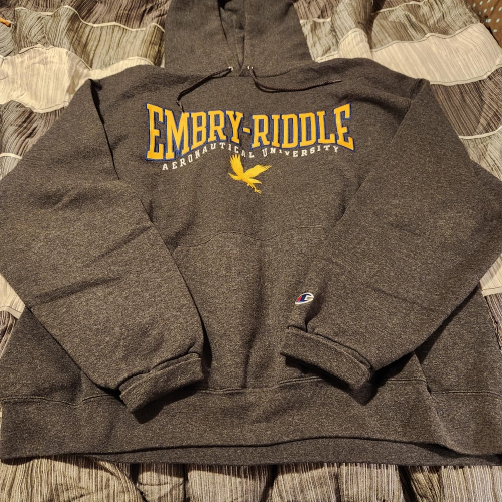 Champion Gray Embry-Riddle Men's Sweater
